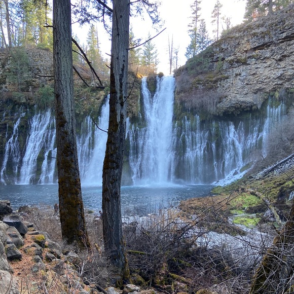 Meet your Posher, Drew - Picture 2 of 10